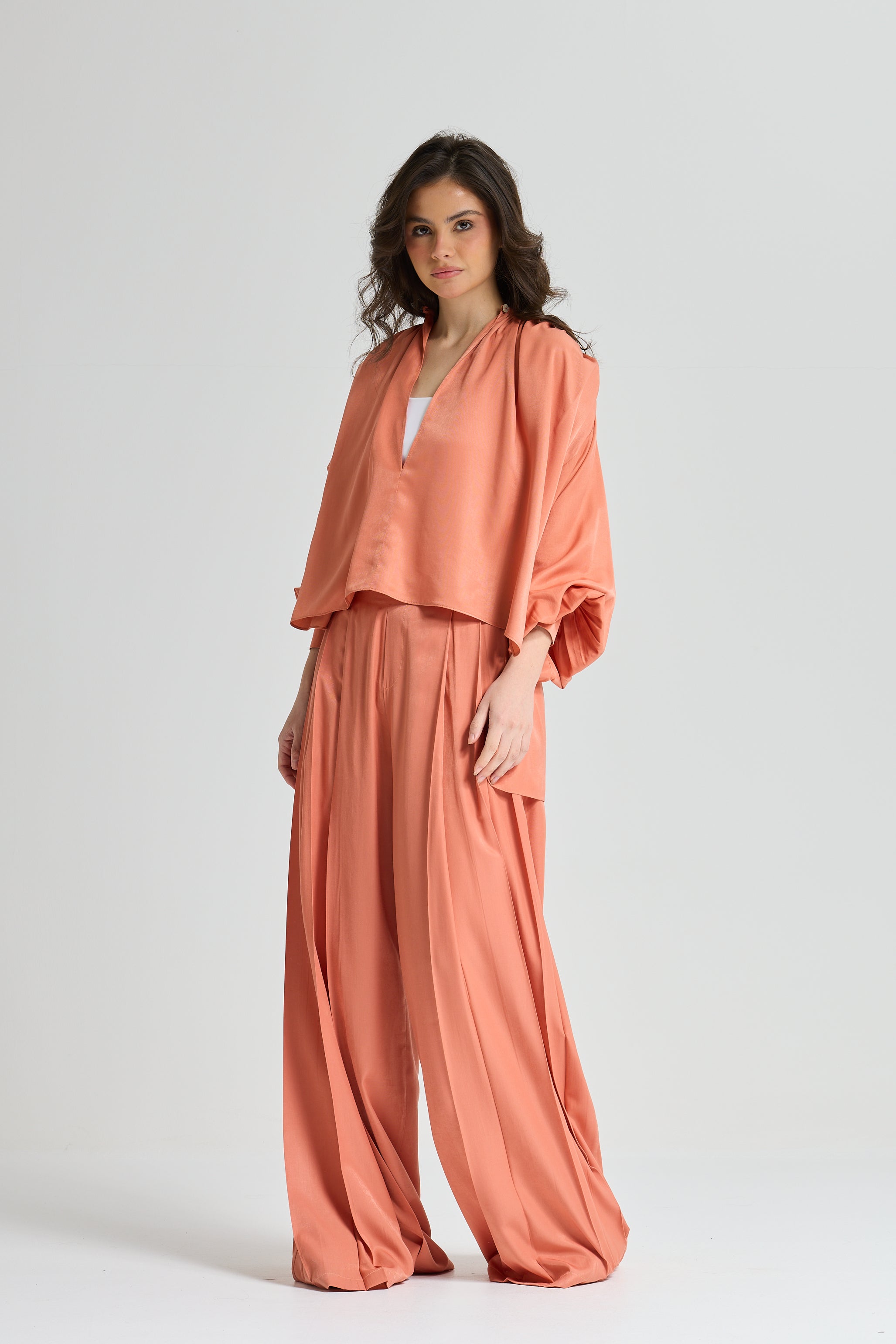 Soft Balloon Sleeves Top In Peach