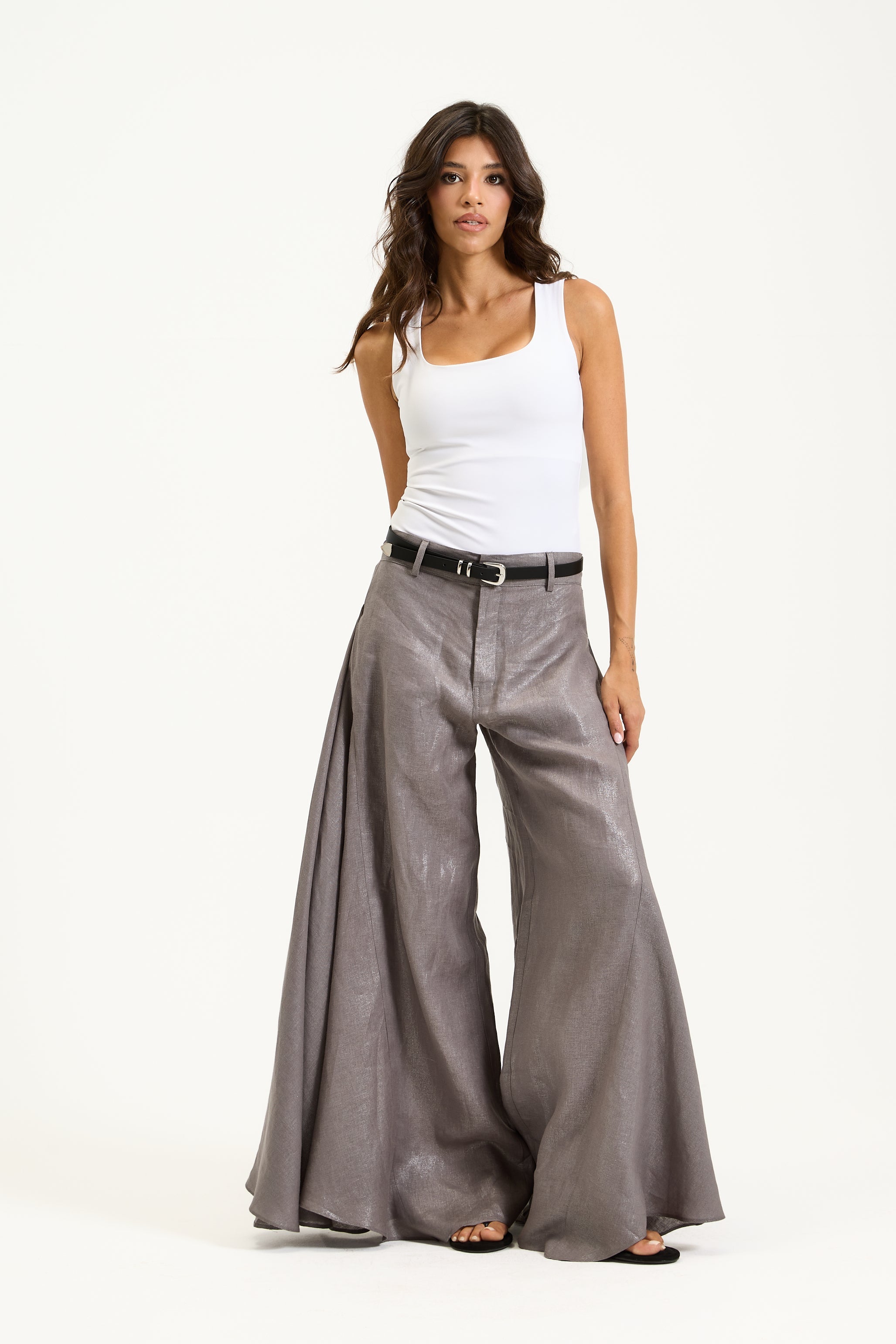 Shiny Grey Pants