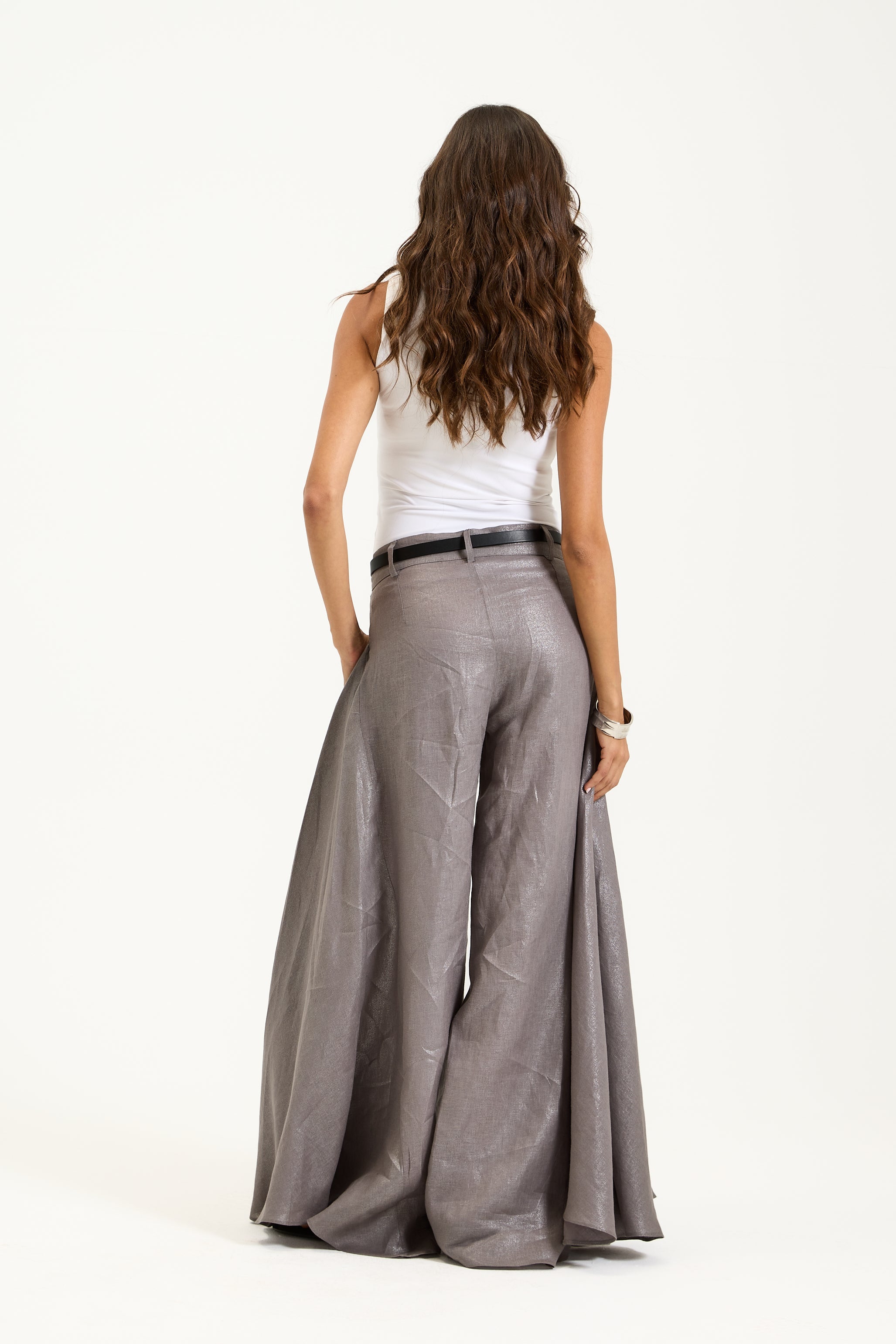 Shiny Grey Pants