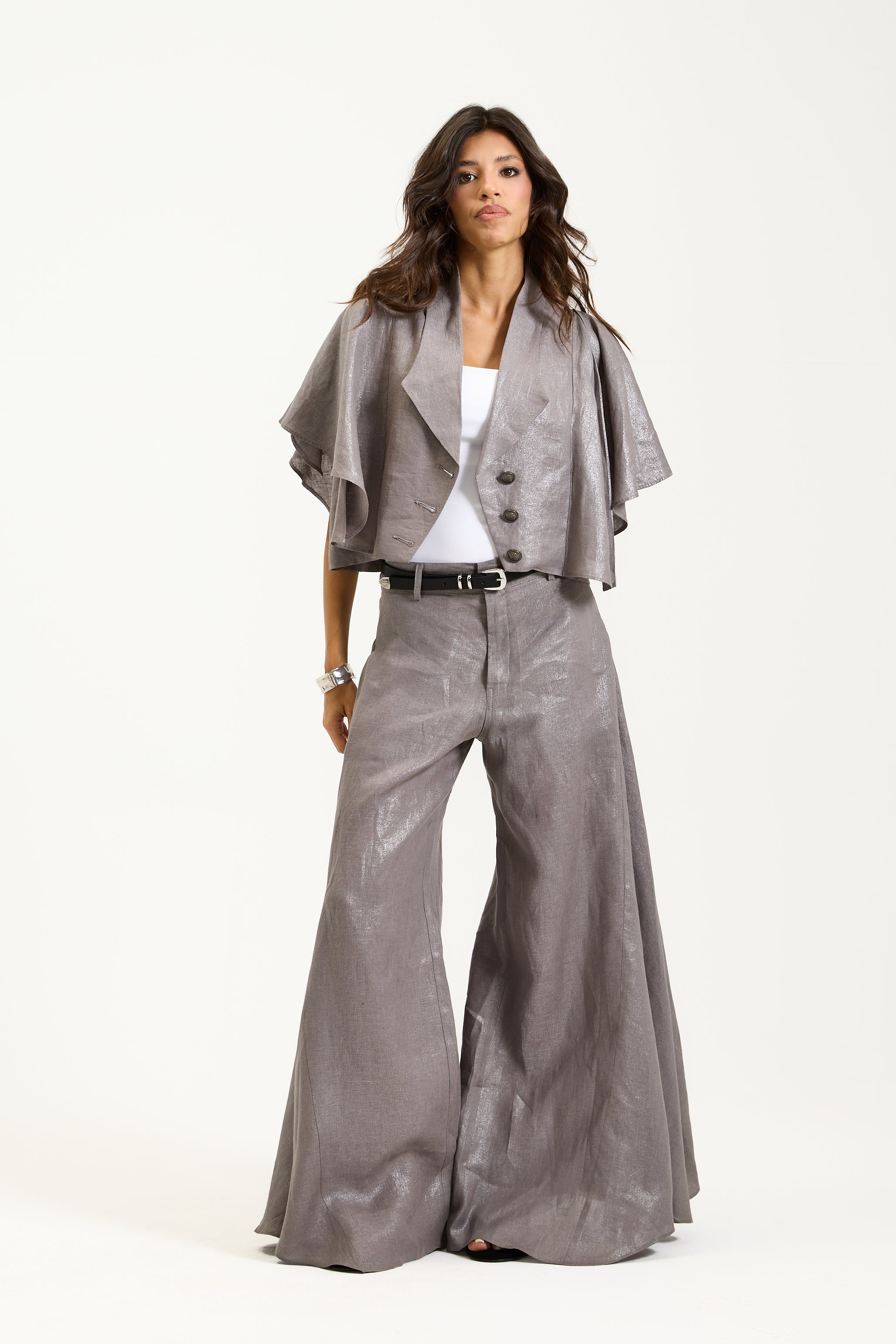 Shiny Grey Pants